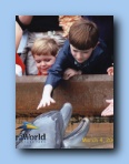 dolphin boys   117 KB